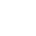 H100